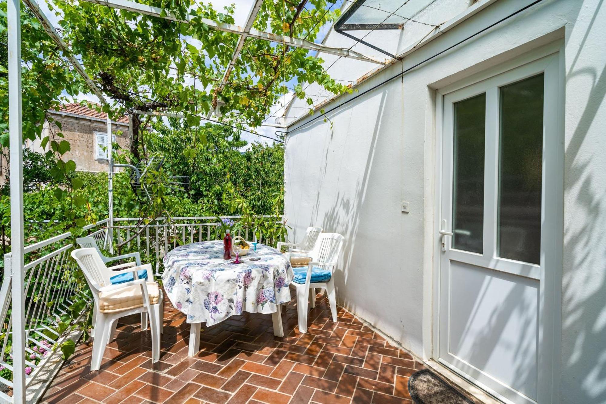 Apartments Zarac ドゥブロブニク 部屋 写真